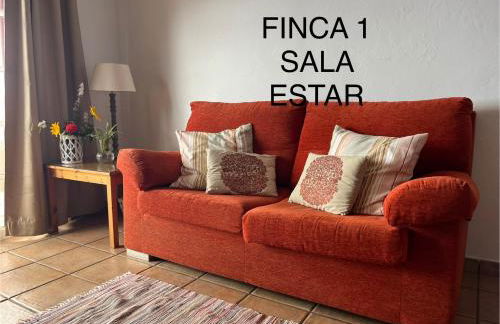 Finca La Calzada - Foto 7