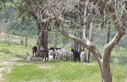 Agriturismo Mama Lina - Foto 81