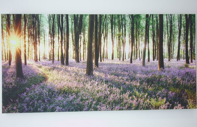 Property Peaks Apartments - Foto 29