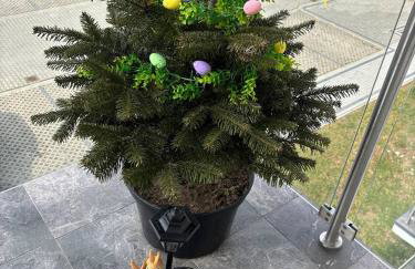 Studio Leszczyńskiego Przemyśl - Photo 58