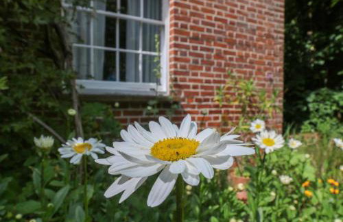 Curry Farm - Foto 26