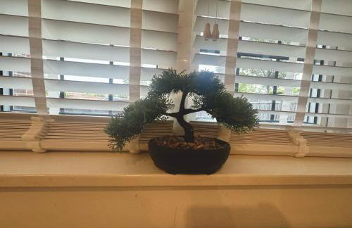 Spacious and Welcoming one-bedroom apartment - Foto 15