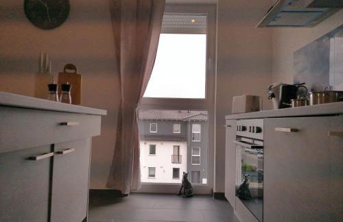 Neu gebaut - Modern - Apartments - Boardinghouse Weiße Taube - Foto 16