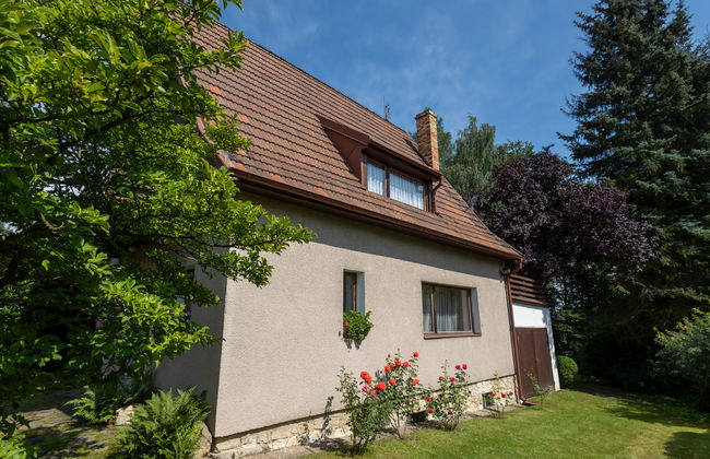 Jestřebice 8 - Foto 36