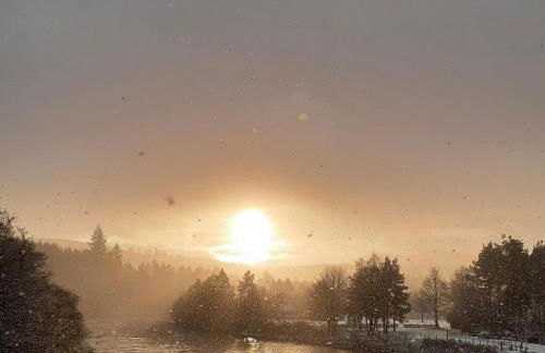 The Cabin at No 45 - Foto 11