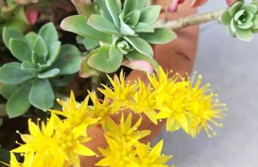 Le Patio 4*. SPA, jardin, piscine en provence, proche Grignan - Foto 36