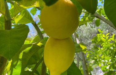 Gauro casa vacanze - Foto 62