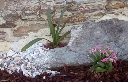 Casa Esquível - Foto 16