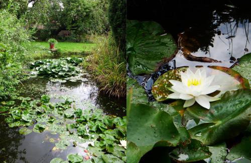 Kenilworth Garden Accomodation - Foto 7