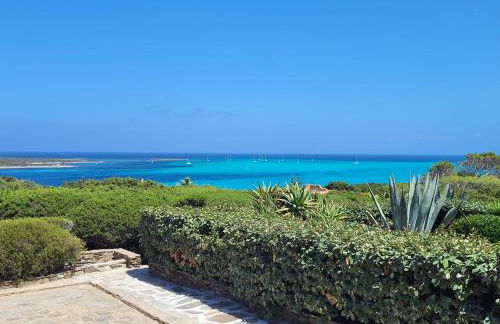 Villa Chiccolina - Foto 8