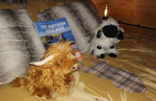 Achmeney Glamping larger than Average pod - Photo 8