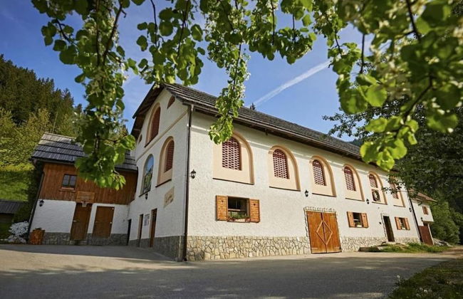 Alpine Apt Melanija Private Ski Area - Photo 10