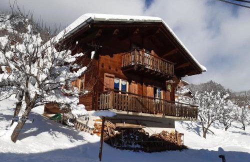 Savoyard nest with Mont Blanc view - Foto 1