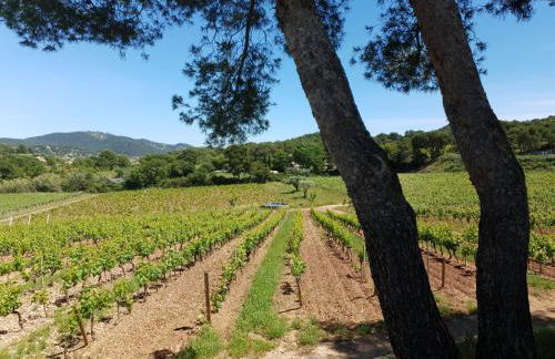 Domaine de la Navicelle - Foto 30