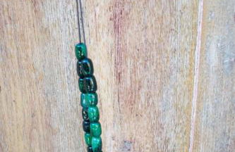 Azienda Agricola Il Querceto - Foto 67