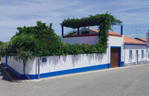 Casa dos Avós - Foto 4