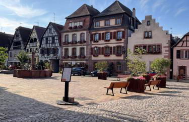 Au pied des vignes - Foto 39