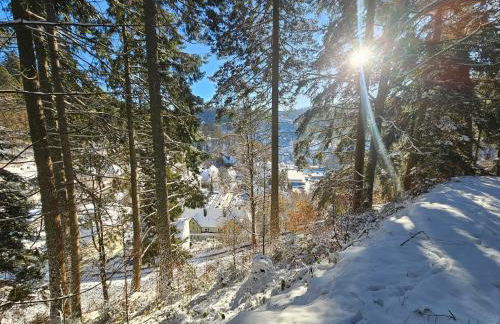 Miuti Residence - Foto 34