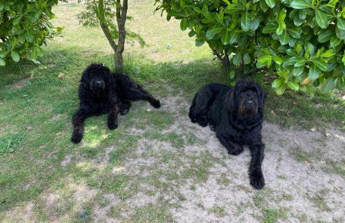 FeWo an der Küste - Foto 12