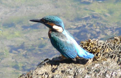 Chalet en enclave privilegiado - Foto 28