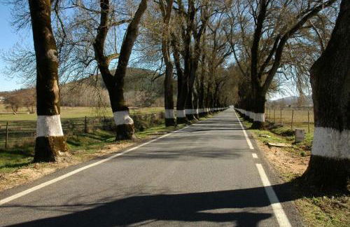 Al-Andalus Alojamentos - Foto 9