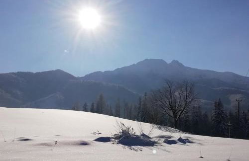 Apartament Antałówka z ogródkiem - Foto 19