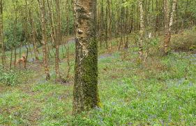 Janitor's Lodge - Foto 27