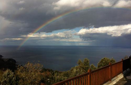 Lions Nine - Foto 18