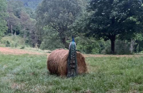 1878 Victorian Farm House near Asheville - Foto 45