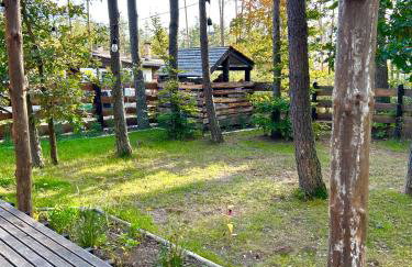 Domek lubiana180 WABI SABI w lesie jacuzzi sauna kominek - drewno w cenie pobytu - nad jeziorem Kaszuby pieski tylko do 10kg za dodatkową opłatą - Foto 63