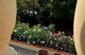 Guest House El Angelito de Olivas - Foto 11