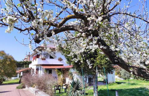 Il Ciliegio Holiday Apartment With Garden - Foto 1