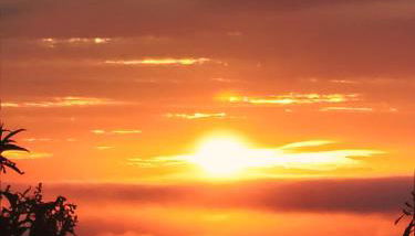 CASA CRUZ EL LLANO - Foto 3, Garden view