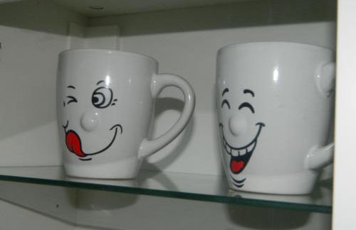 Helle 45 qm Einliegerwohnung - Foto 28