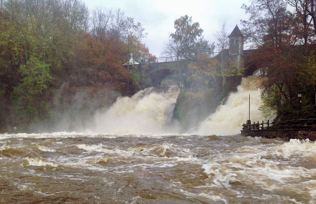 Le Baron Apartments - Photo 45