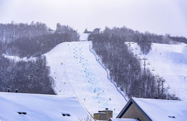 Blue Mountain - Photo 30