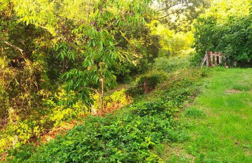 Las Casicas del Tío Ángel-A - Foto 13