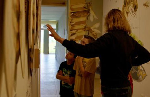 La casa di Maia - Alloggio Agrituristico - Foto 34