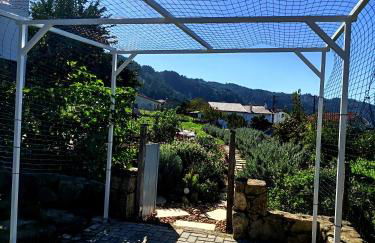 Casa 99 in Barbéns, Miranda do Corvo - Foto 37