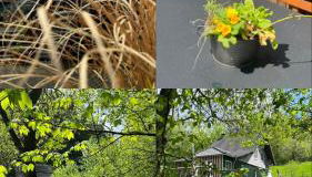 Alte Mühle- Das Ferienhaus im Grünen - Foto 3