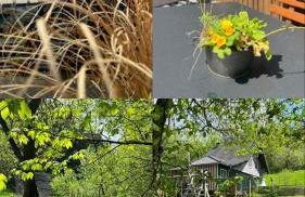 Alte Mühle- Das Ferienhaus im Grünen - Foto 3