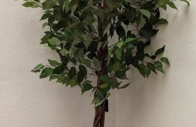 Casa Moraleda I Vivienda Rural - Foto 59