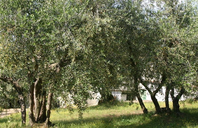 Tuscany Bliss: Garden Retreat - Foto 15