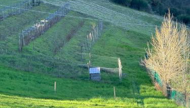 LeCannelleAgriBenessere - Foto 3