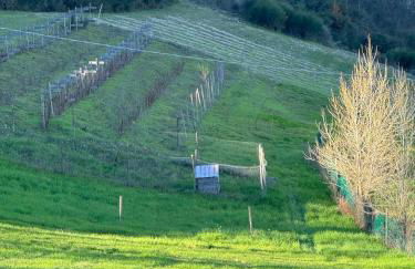 LeCannelleAgriBenessere - Foto 3