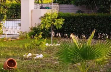 Jenny's House - Foto 51