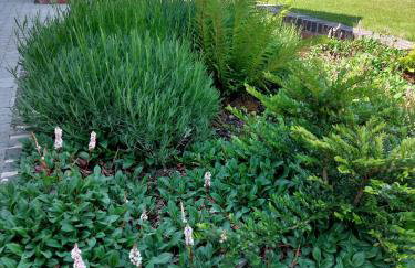 The Stables - Foto 27