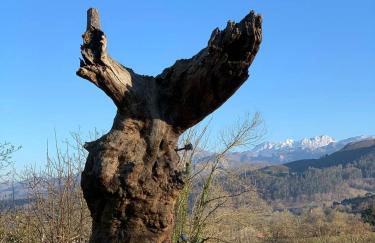 Aptos rurales Mirador Picos de Europa - Foto 73