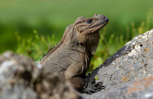 Scape Park Day Trip - Photo 5