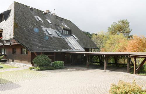 Hus im Schwefelmättle, Hinterzarten - Foto 10